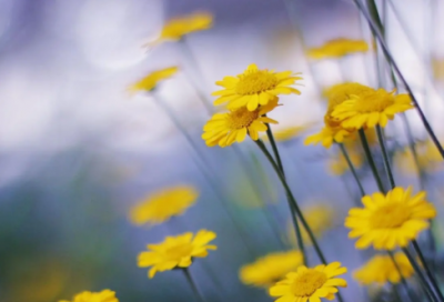 ​关于被利用的说说 被利用的伤感句子(精选14句)