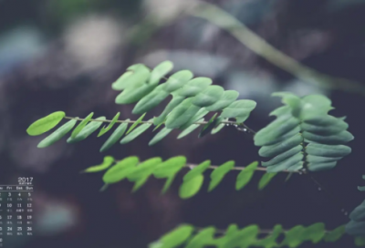 ​和闺蜜吵架后的说说 闺蜜吵架后的伤感说说