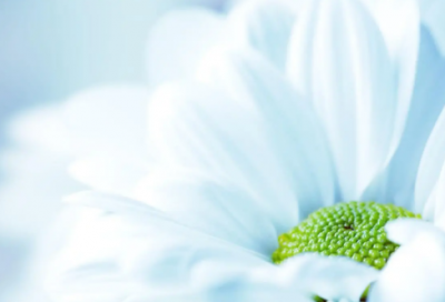 ​想家的句子伤感 春节想家的句子伤感(精选15句)