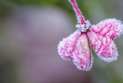 ​最新爱情伤感个性心情签名