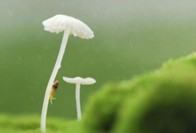 ​心情不好的句子简短(签名短句照片伤感)
