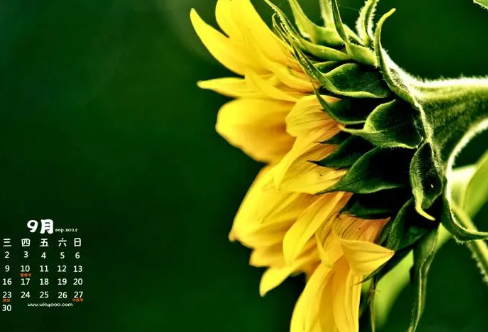 1715835482111695.png image.png