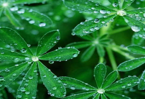 1715838146327041.png image.png