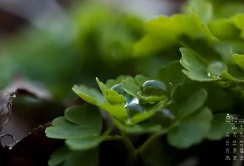 1715838980955778.png image.png