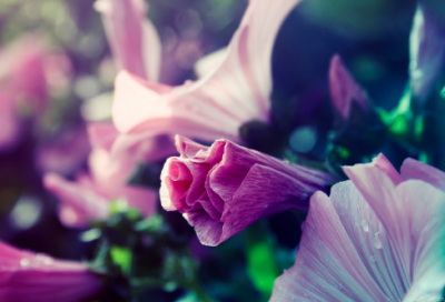 ​搞笑的一句话发朋友圈说说 晚上搞笑说说发朋友圈