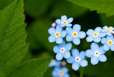 ​关于适合心情低落的说说发朋友圈(精选76句)