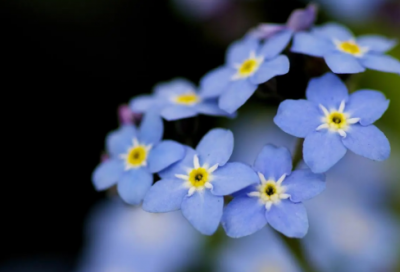 ​思念已故亲人发朋友圈 写给天堂亲人的说说