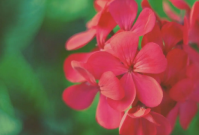 ​心情郁闷的朋友圈说说 心情郁闷怎么办(精选77句)