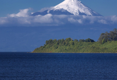 ​鸡年拜年祝福语100句