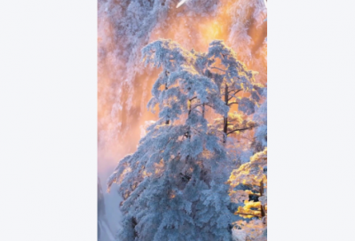 ​医生节祝福语 医生节祝福短信