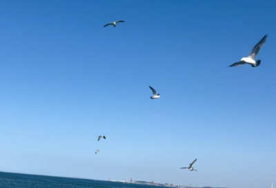 ​生日祝福语顺口溜18句