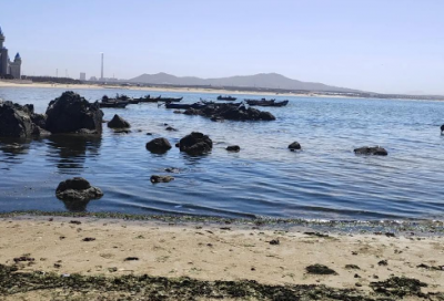 ​2026三八妇女节简短标语祝福语(三八妇女节祝福语简短)