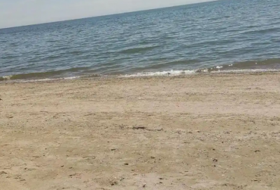 ​高考努力的家长祝福语