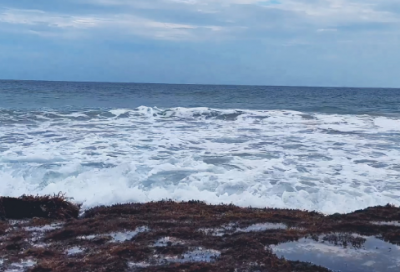 ​新婚搞笑祝福语 幽默有趣的结婚祝福语