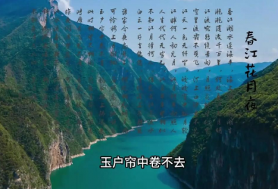 ​花篮上的祝福语59句